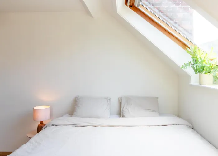 Private Nearby Old Town Gante